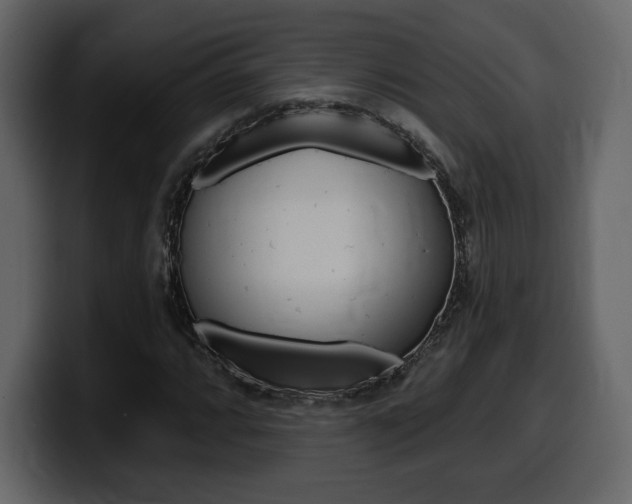 X0000099581064200805160741