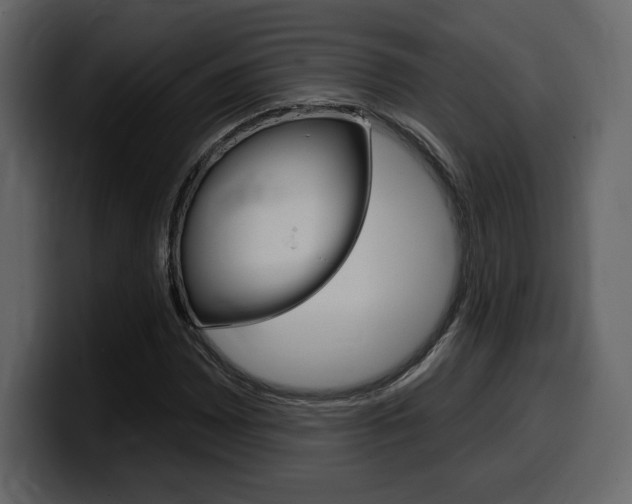 X0000099581065200805160741