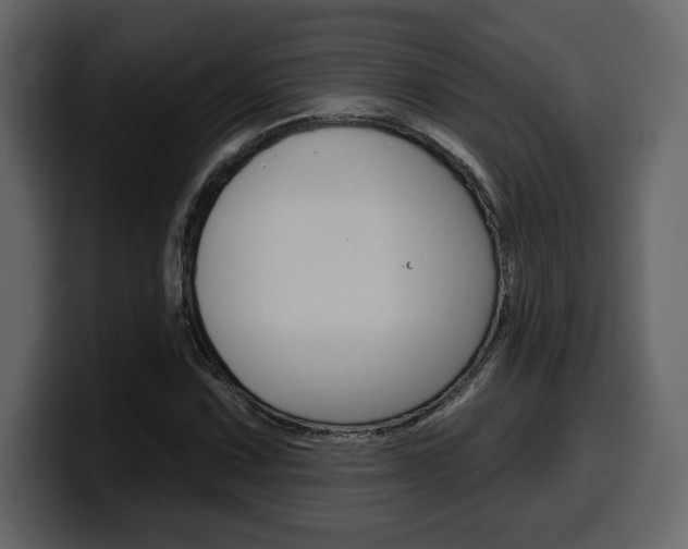 X0000099581067200805160741