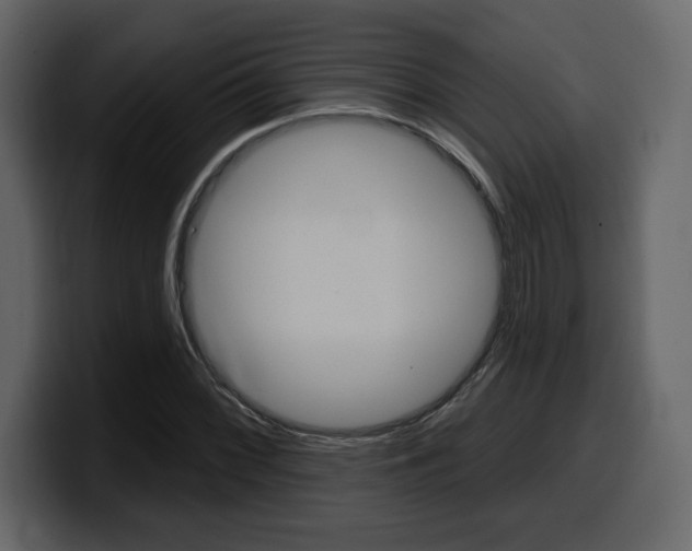 X0000099581068200805160741