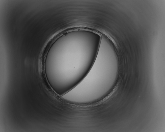 X0000099581069200805160741