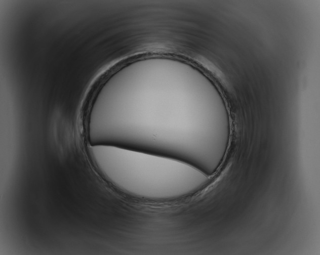 X0000099581070200805160741