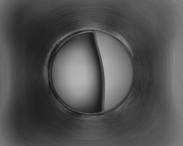 X0000099581072200805160741