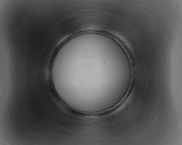 X0000099581073200805160741
