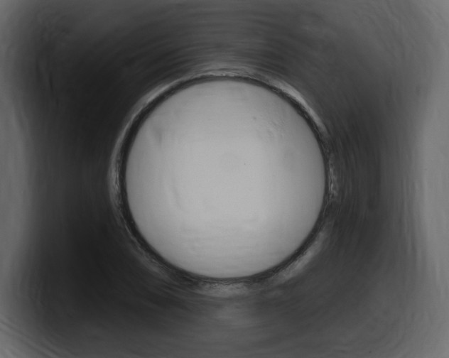 X0000099581074200805160741