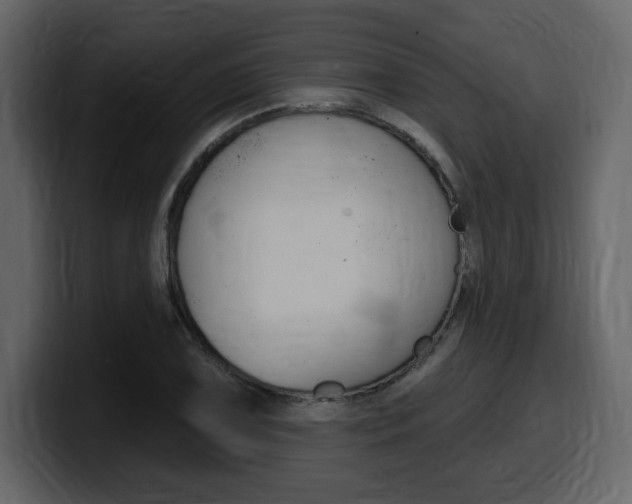 X0000099581075200805160741