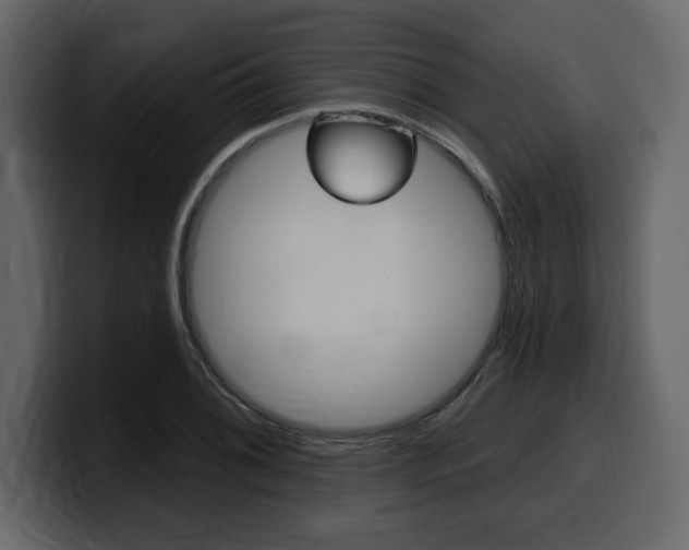 X0000099581076200805160741
