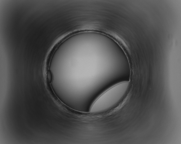 X0000099581077200805160741