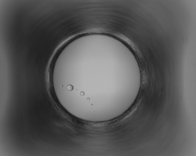 X0000099581078200805160741