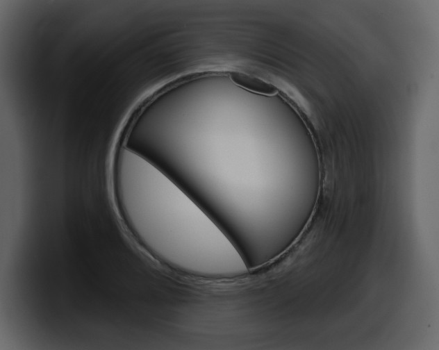 X0000099581080200805160741