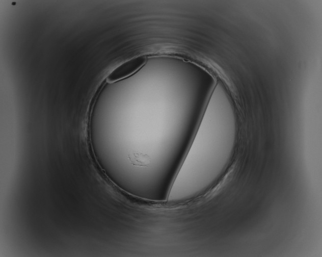 X0000099581081200805160741