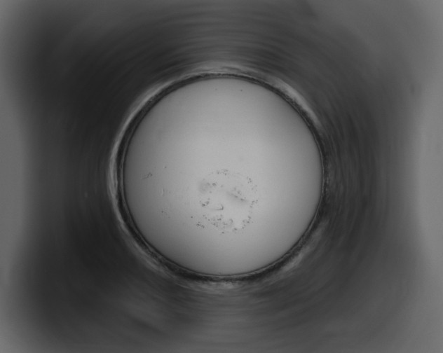 X0000099581082200805160741