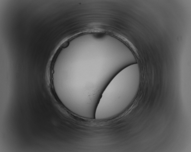 X0000099581083200805160741