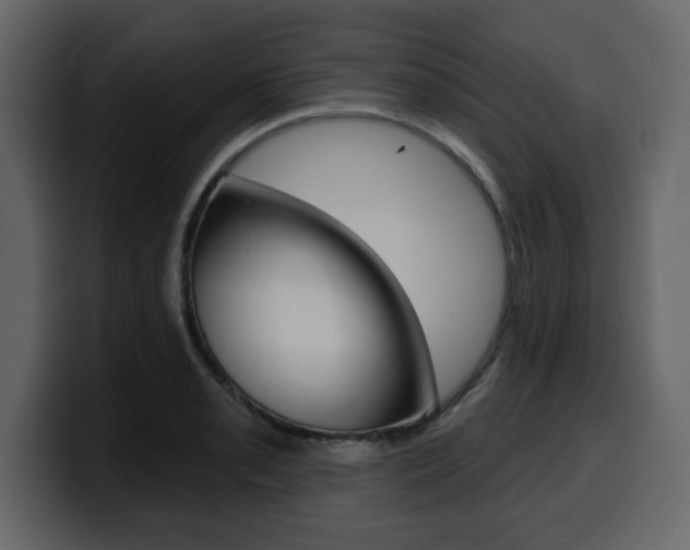 X0000099581085200805160741
