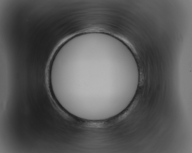 X0000099581086200805160741
