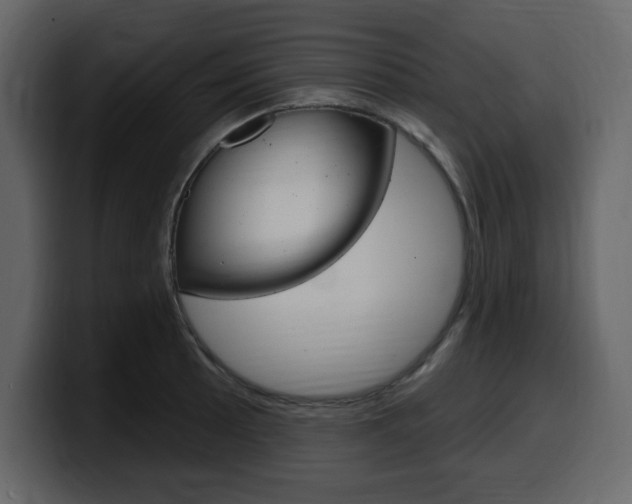 X0000099581089200805160741