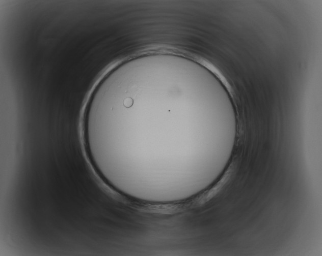 X0000099581090200805160741