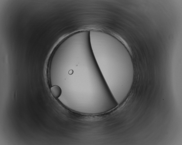 X0000099581091200805160741