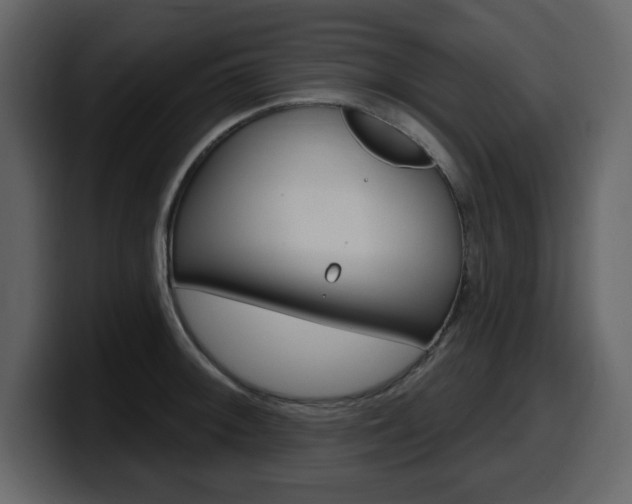 X0000099581092200805160741