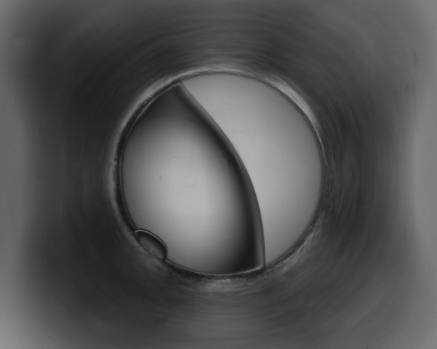 X0000099581093200805160741
