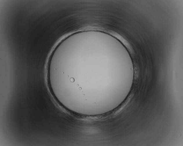 X0000099581094200805160741