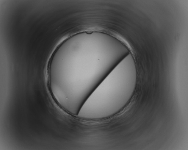 X0000099581095200805160741