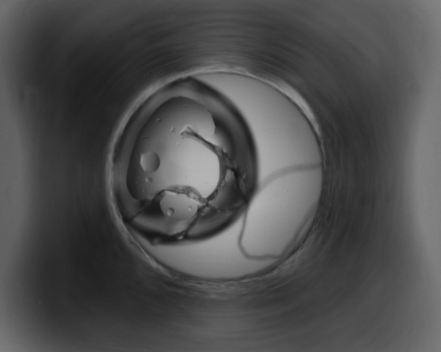 X0000099581096200805160741
