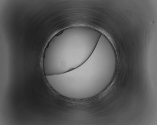 X0000099581097200805160741