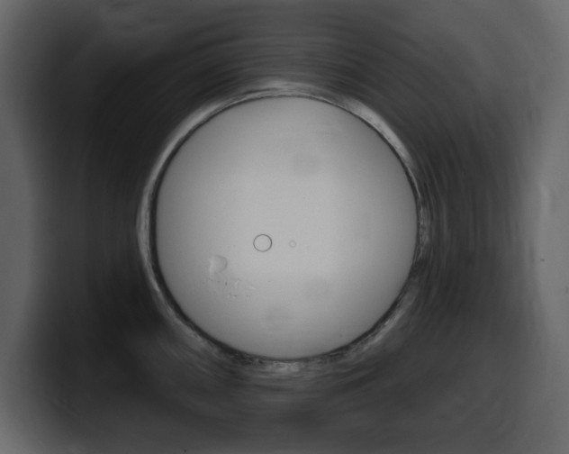 X0000099581098200805160741