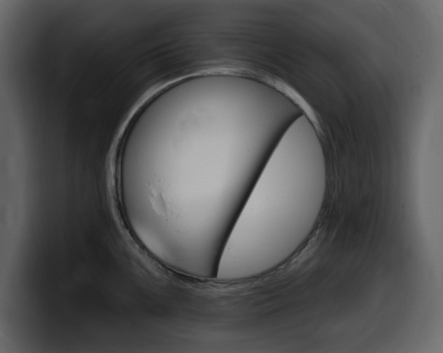 X0000099581099200805160741
