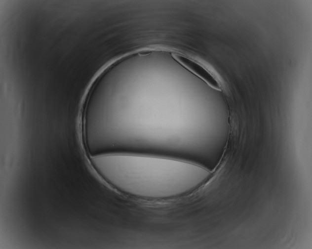 X0000099581100200805160741