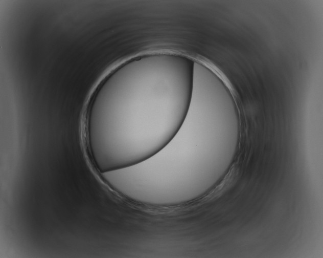 X0000099581101200805160741