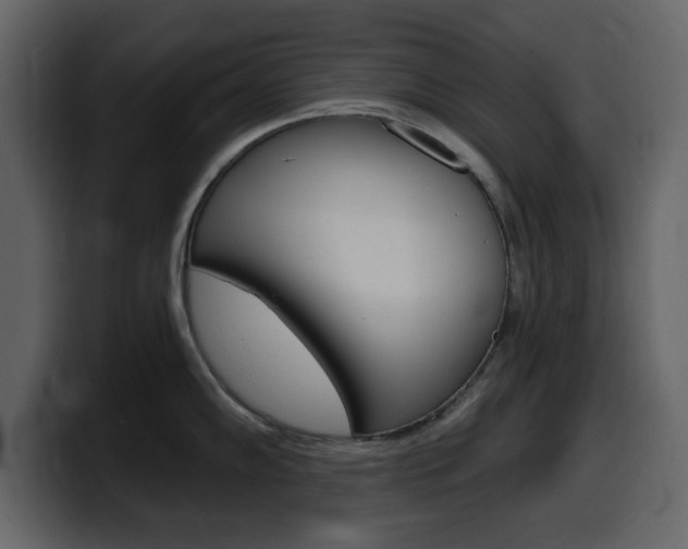 X0000099581102200805160741