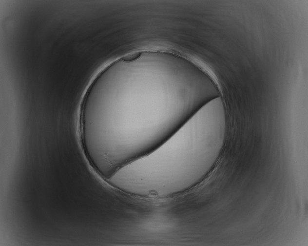X0000099581103200805160741