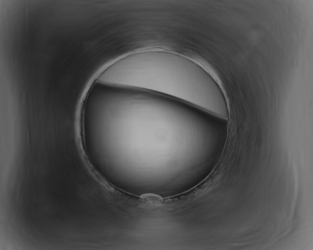 X0000099581104200805160741