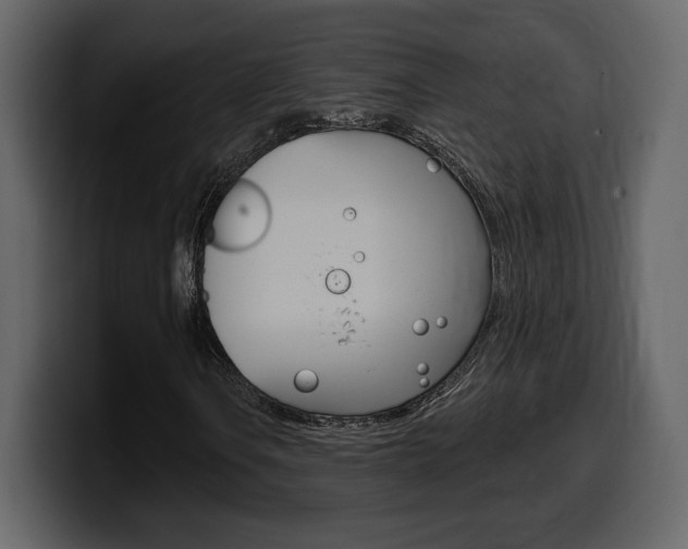 X0000099581106200805160740