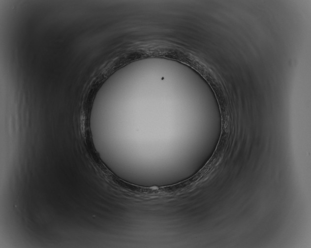 X0000099581108200805160740