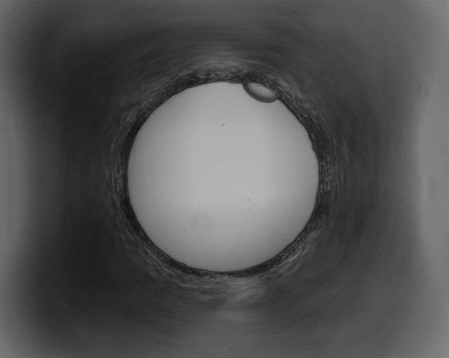 X0000099581109200805160740