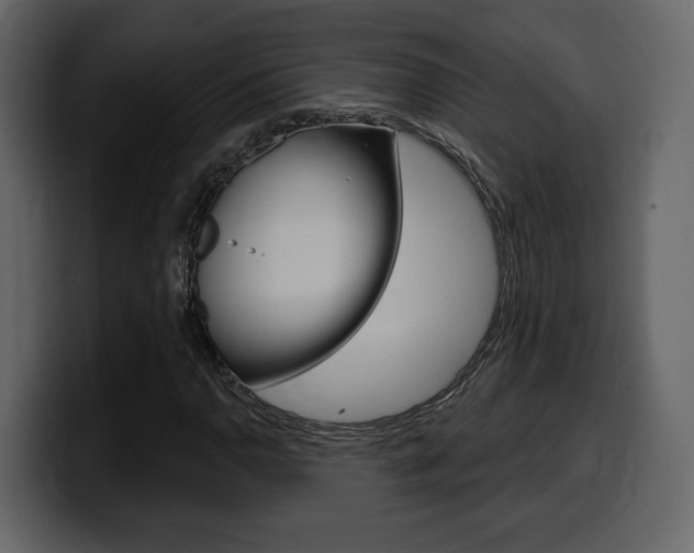 X0000099581110200805160740