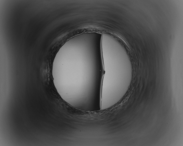X0000099581111200805160740