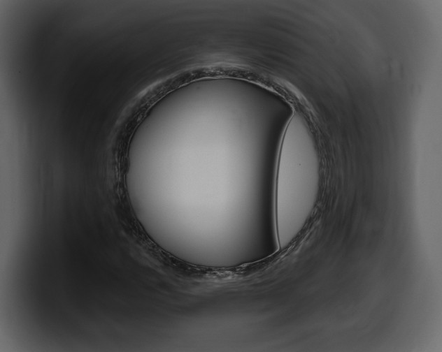X0000099581112200805160740