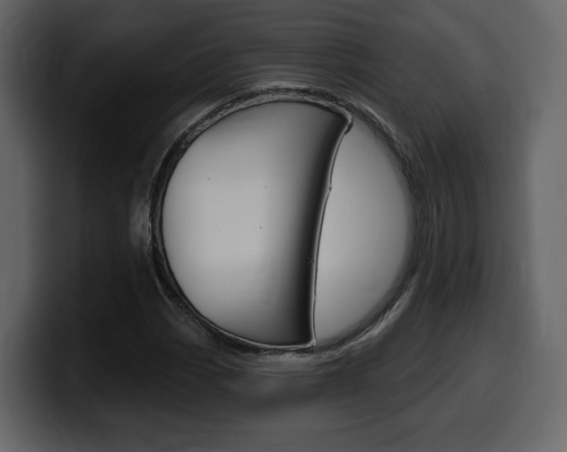 X0000099581113200805160740