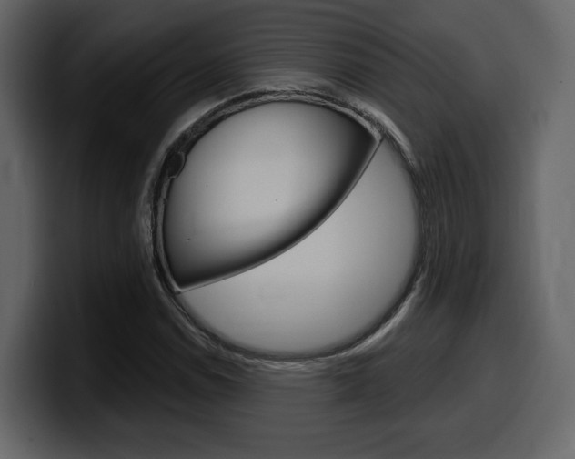 X0000099581114200805160740