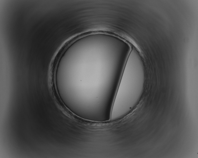 X0000099581116200805160740
