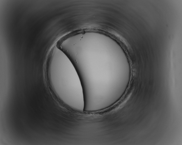 X0000099581117200805160740