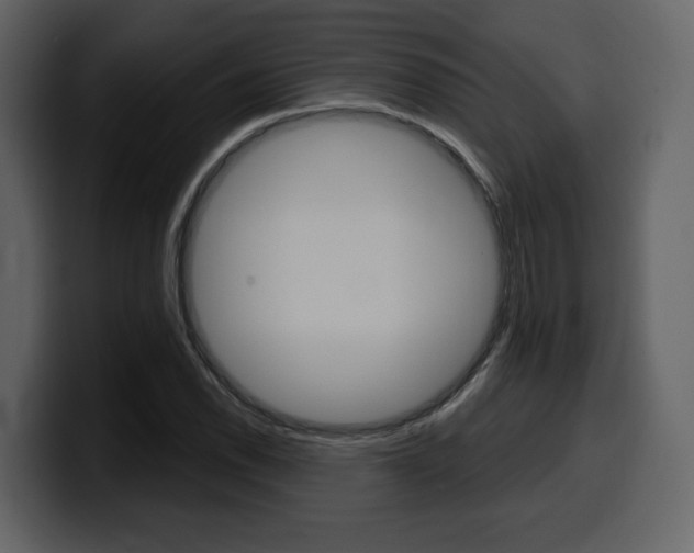 X0000099581118200805160740
