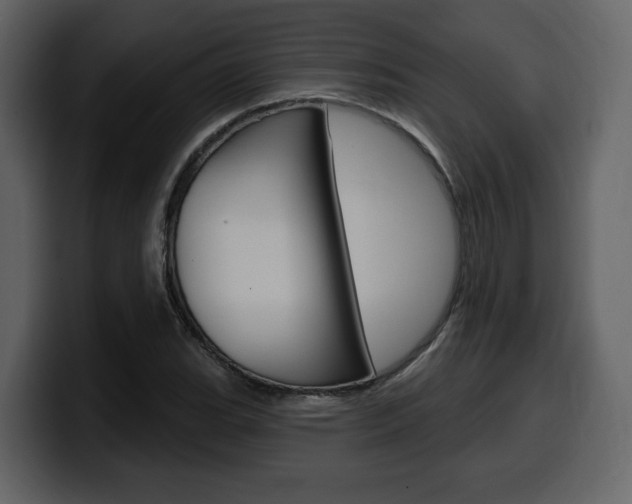 X0000099581119200805160740