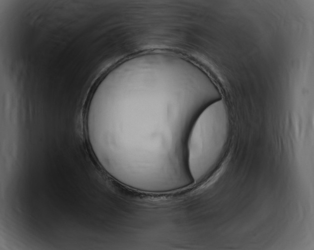 X0000099581121200805160740