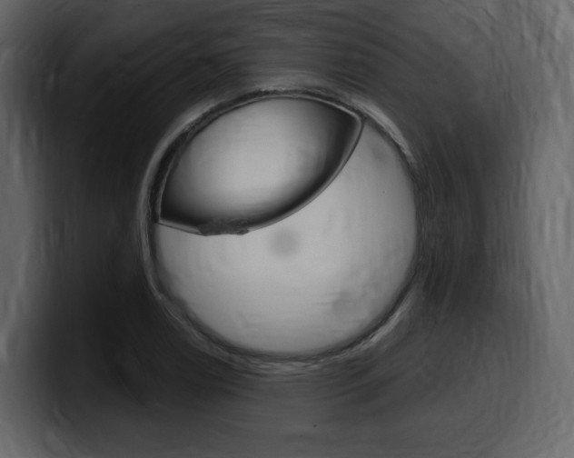 X0000099581122200805160740