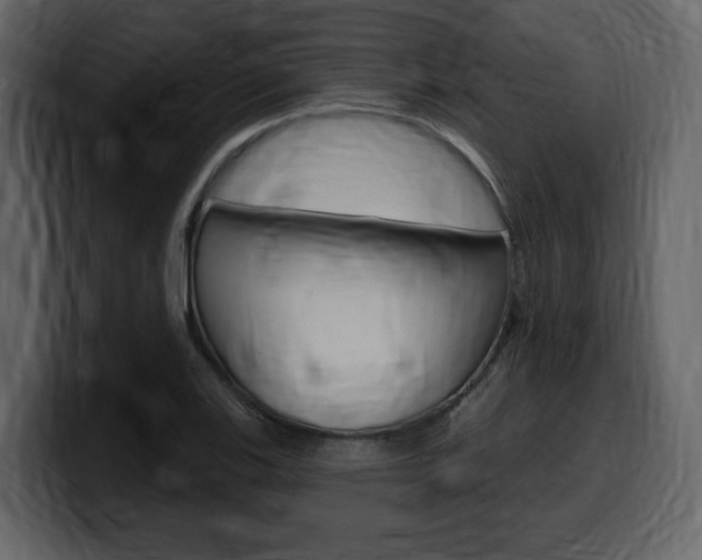 X0000099581123200805160740